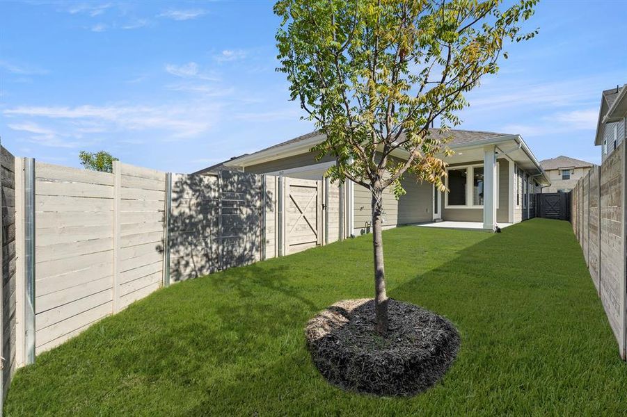 27. 3117 Eddington - Back (2) 27. 3117 Eddington - Back (2)