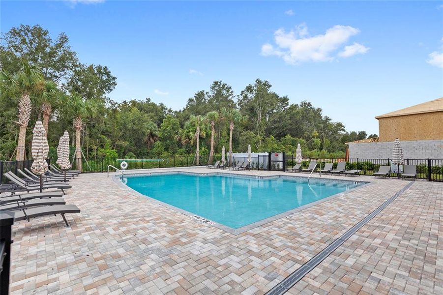 Community amenities in , Mount Dora (Image 37).