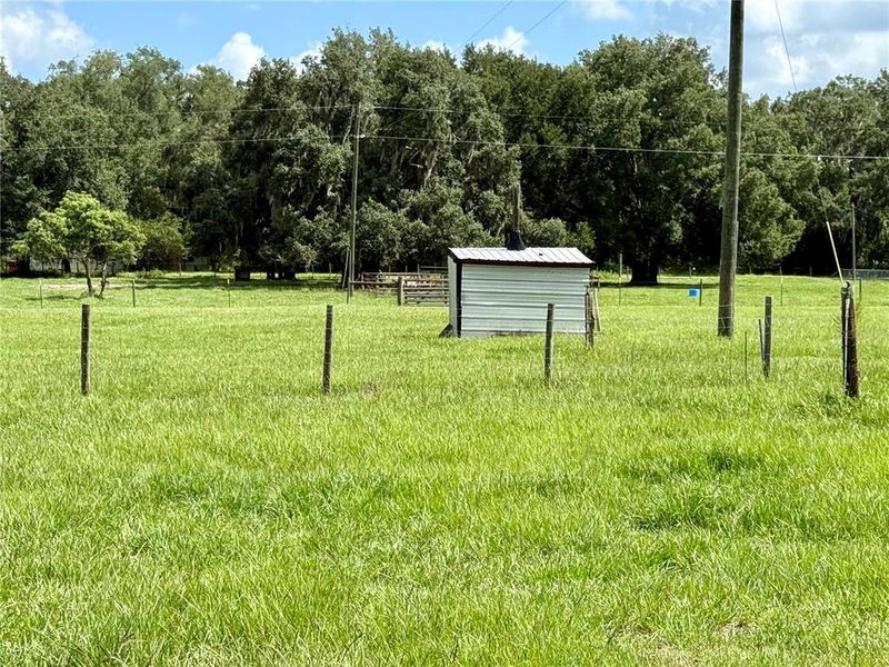 Natural landscape and outdoor views near in Bushnell (Image 43). Natural landscape and outdoor views near in Bushnell (Image 43).