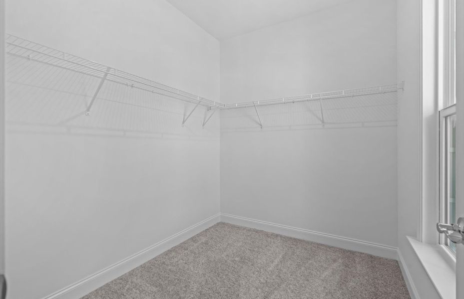 Spacious, unfurnished interior of a new home in Alston Park, Greenville (Image 23).