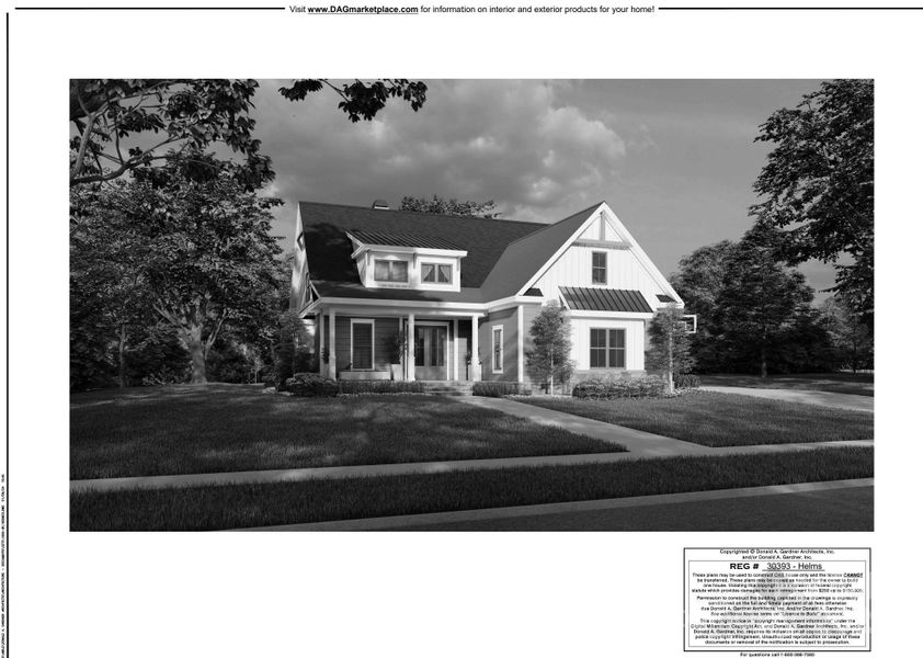 Photo Representation Photo Representation