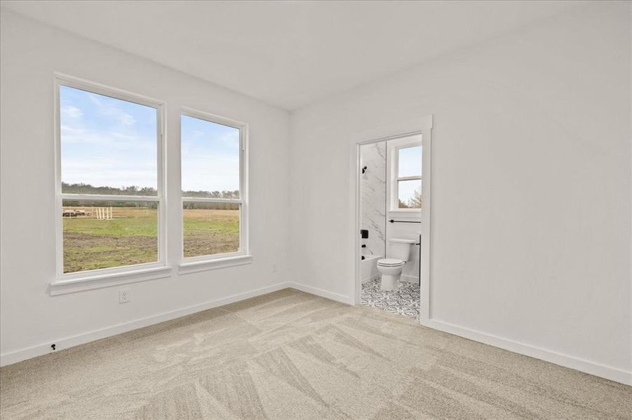 Spare room featuring light carpet and a rural view