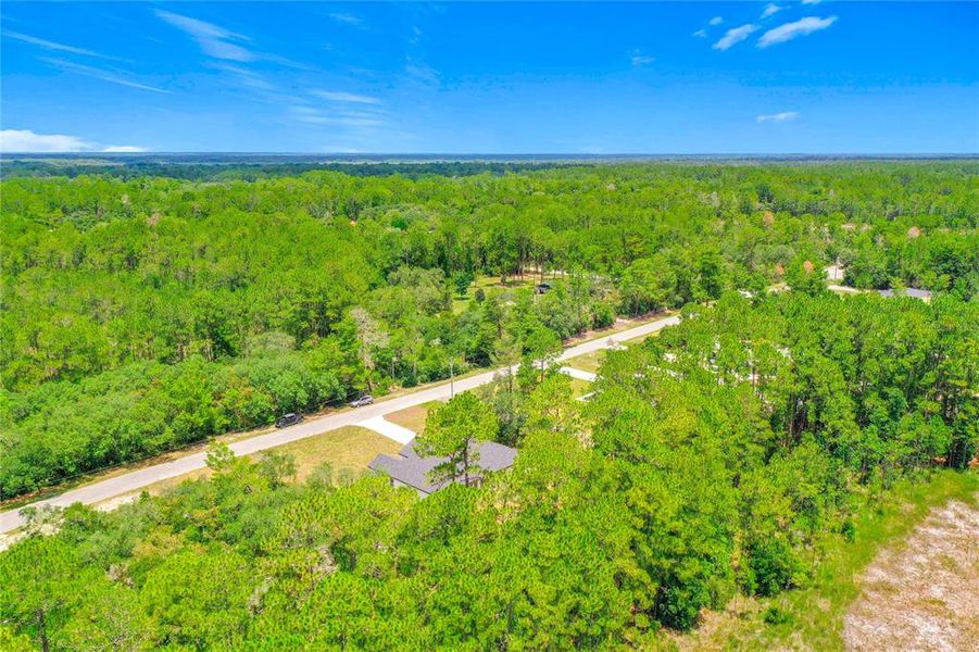 Natural landscape and outdoor views near in Eustis (Image 58). Natural landscape and outdoor views near in Eustis (Image 58).