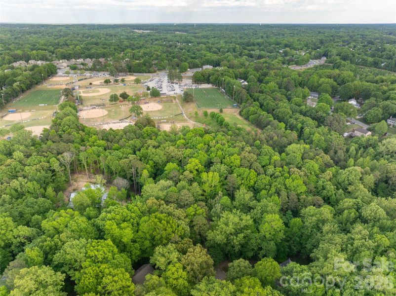 Natural landscape and outdoor views near  in Matthews (Image 38).