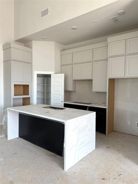 Luxurious finishes in this home include waterfall countertops, stacked cabinets, a farmhouse kitchen sink, stainless steel built-in appliances, and much more! Luxurious finishes in this home include waterfall countertops, stacked cabinets, a farmhouse kitchen sink, stainless steel built-in appliances, and much more!