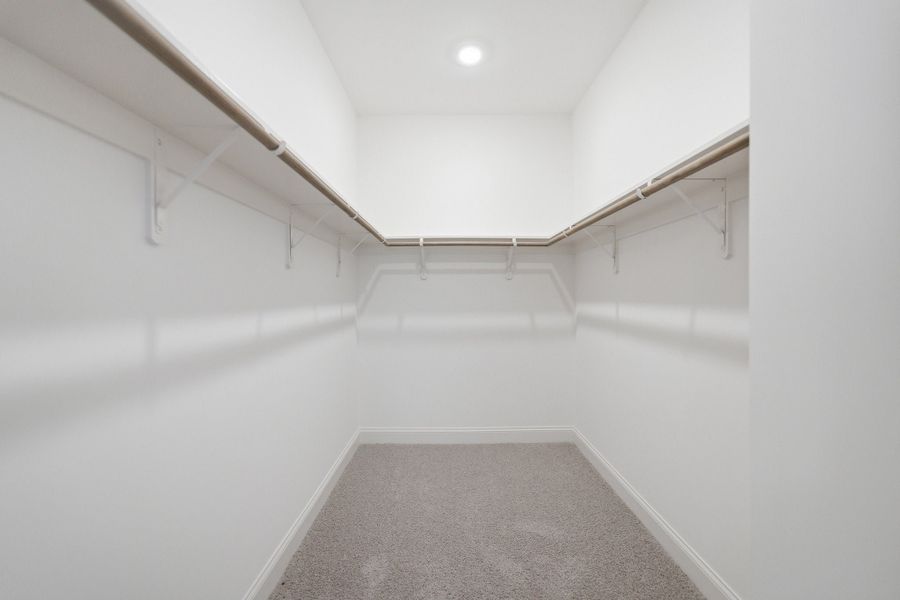 Spacious, unfurnished interior of a new home in Aden Woods, Fairview (Image 28).
