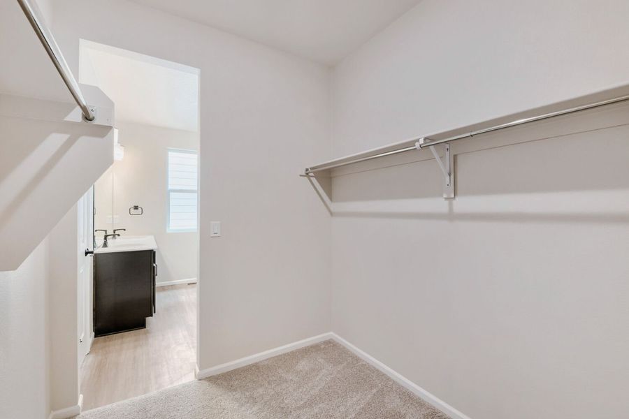 Spacious, unfurnished interior of a new home in Brighton Crossings, Brighton (Image 10).