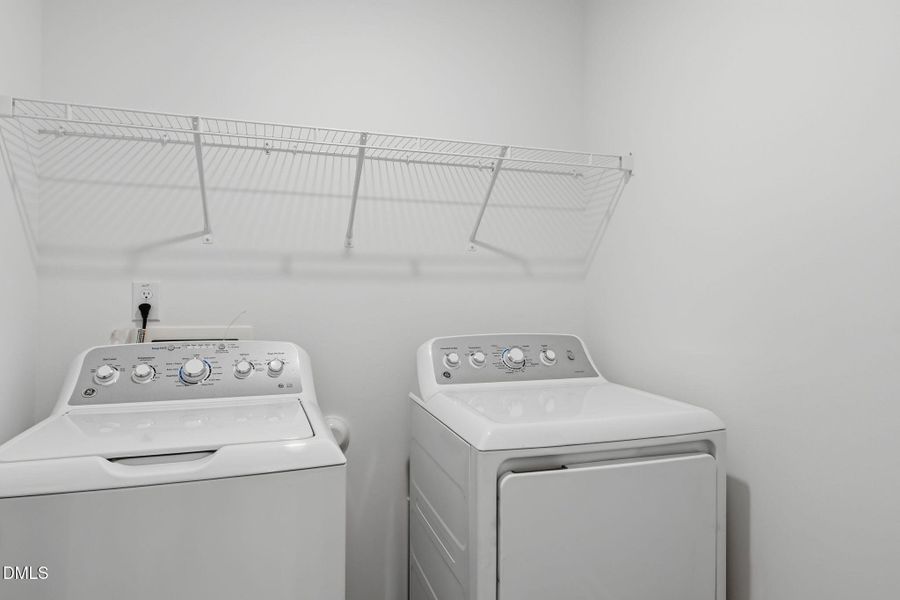 SUN_Marelli_Pic_Sutton-30