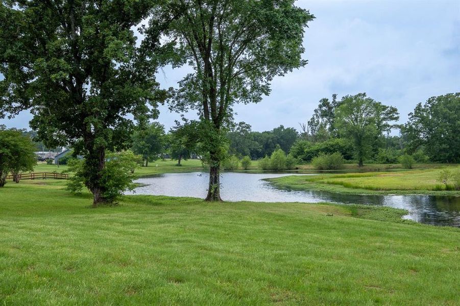 Natural landscape and outdoor views near in Quitman (Image 27). Natural landscape and outdoor views near in Quitman (Image 27).