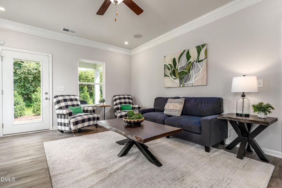 Representational Photo