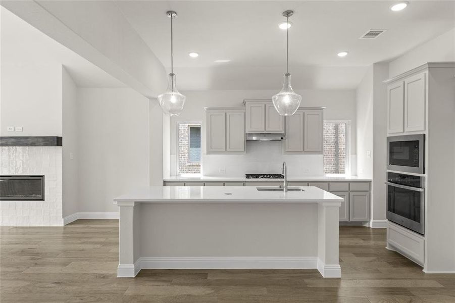 05_Grapevine II_Representative Photo