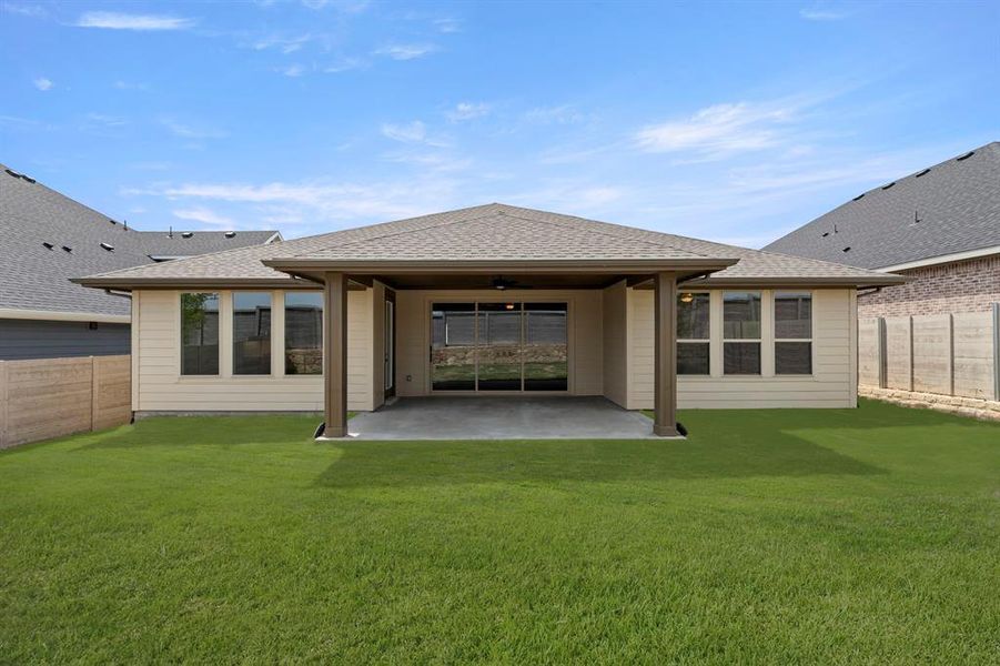 26. 2900 Barbary - Back