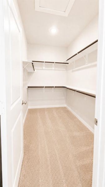 Spacious, unfurnished interior of a new home in Emberly  45', Beasley (Image 11).