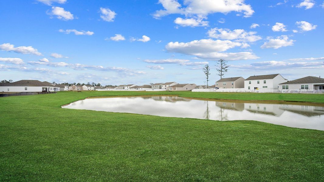 Natural landscape and outdoor views near The Retreat at East Argent in Ridgeland (Image 34).