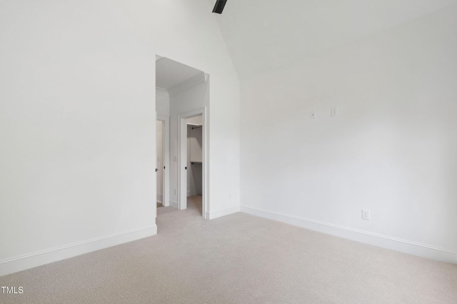 Tanbark (60) Tanbark (60)