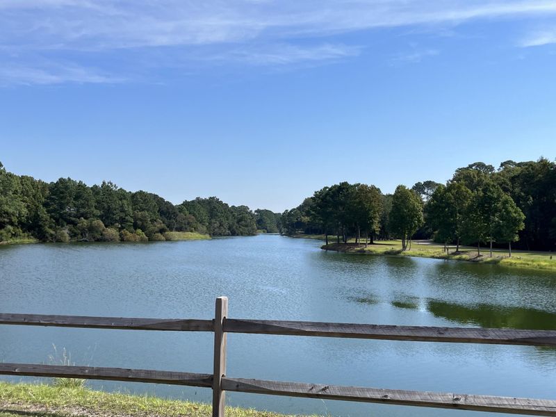 Natural landscape and outdoor views near  in Johns Island (Image 31).