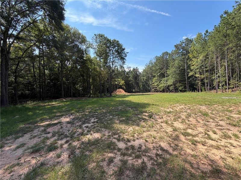 Natural landscape and outdoor views near  in Elberton (Image 26).