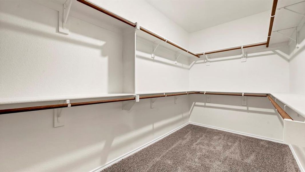 Walk-in closet featuring extensive built-in shelving and hanging rods, white walls, and gray carpet flooring