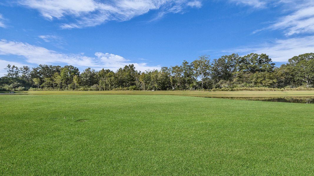 Natural landscape and outdoor views near The Oaks at Center Station in Hollywood (Image 25). Natural landscape and outdoor views near The Oaks at Center Station in Hollywood (Image 25).