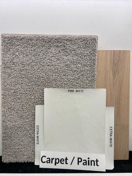 Carpet & Paint Carpet & Paint