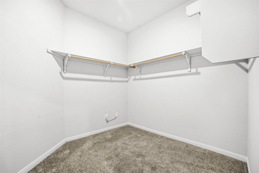 Walk in closet with carpet Walk in closet with carpet