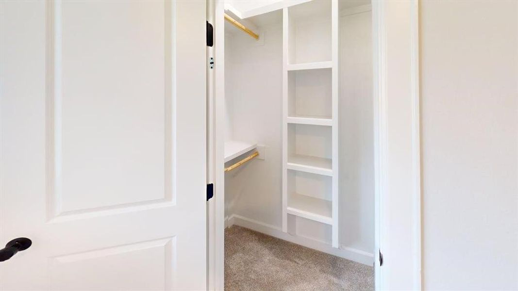 Spacious closet with light carpet