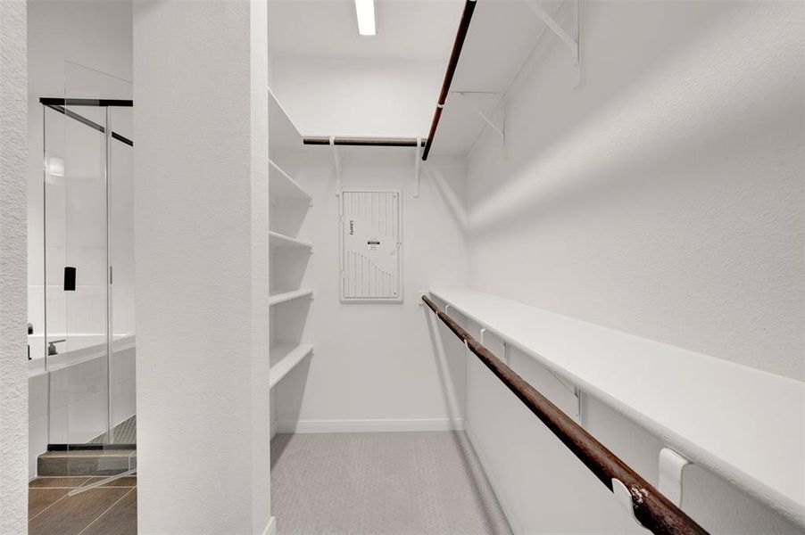 Walk in closet featuring light colored carpet