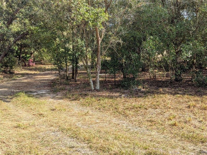 Natural landscape and outdoor views near  in Arcadia (Image 24).