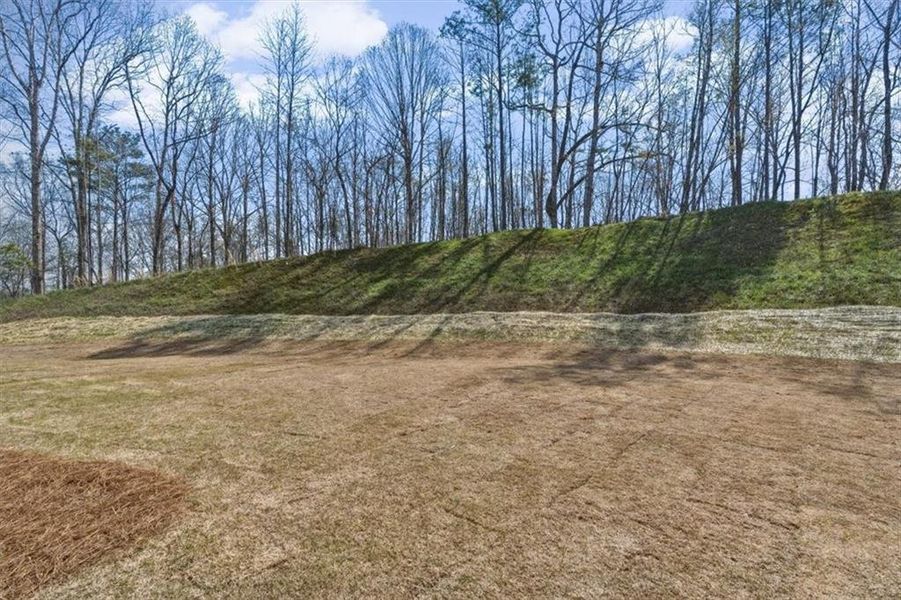 Natural landscape and outdoor views near  in Woodstock (Image 49).