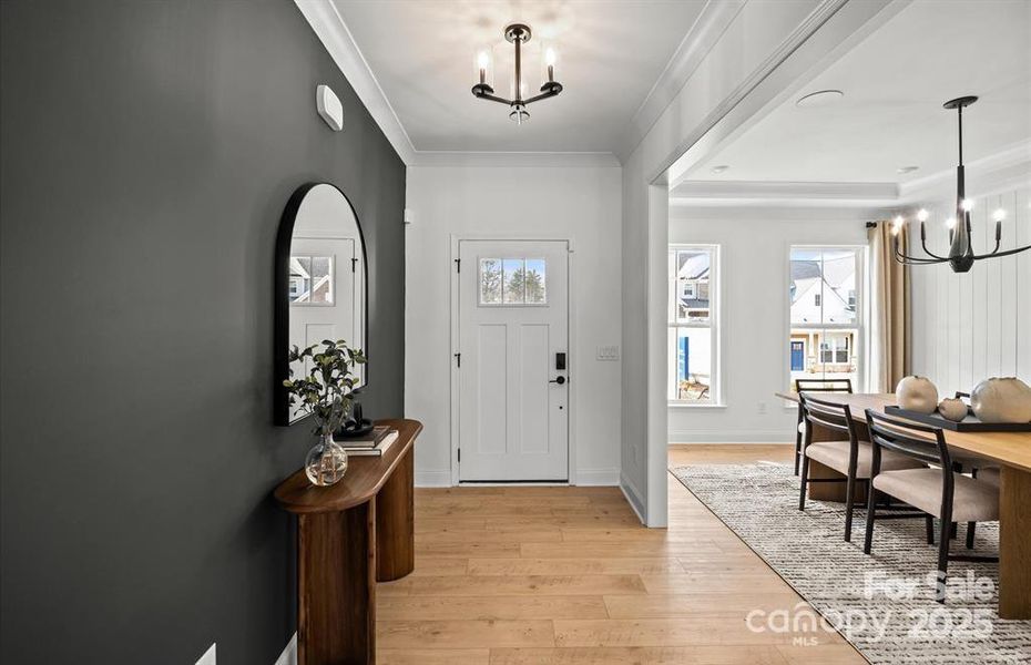 Continental Model - For Representation Purposes Only