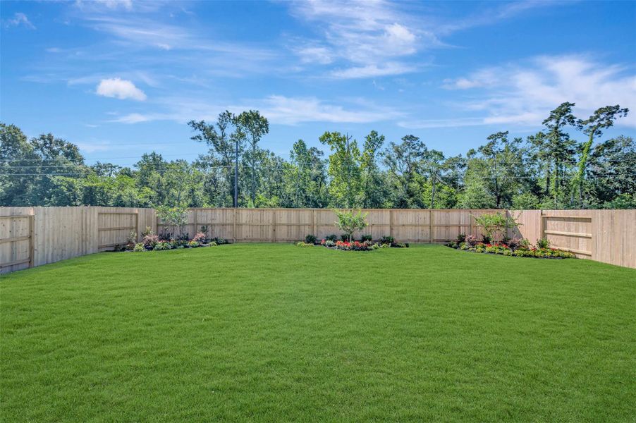 Peaceful backyard