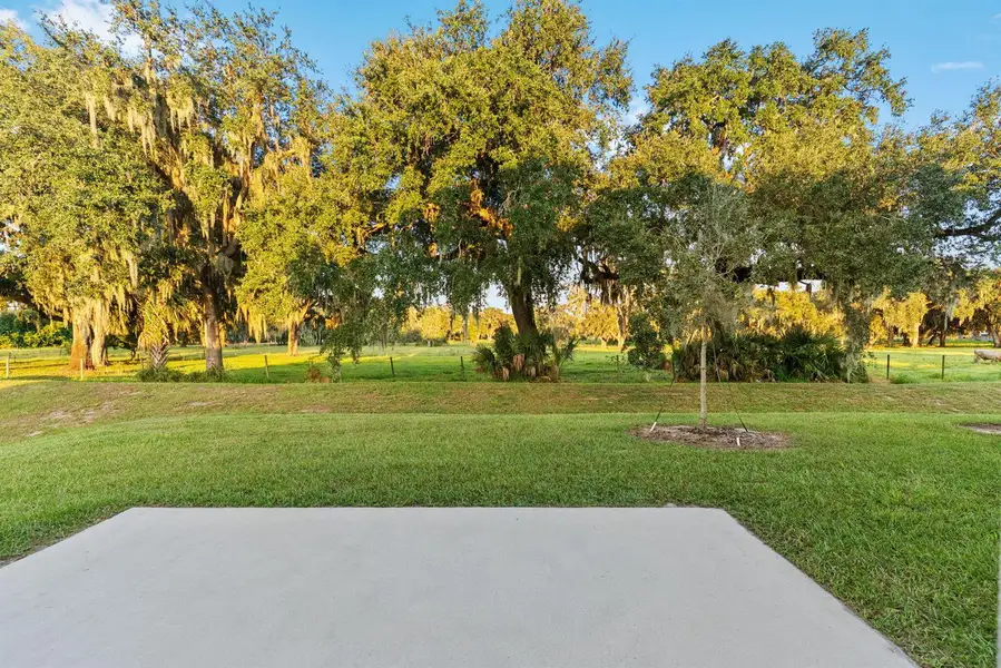 33-web-or-mls-DSC03261