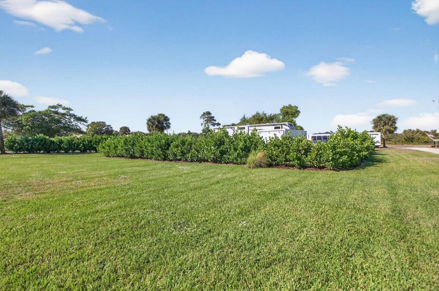 57-web-or-mls-320A9954