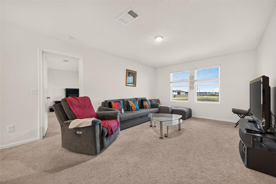 Entertainment Room