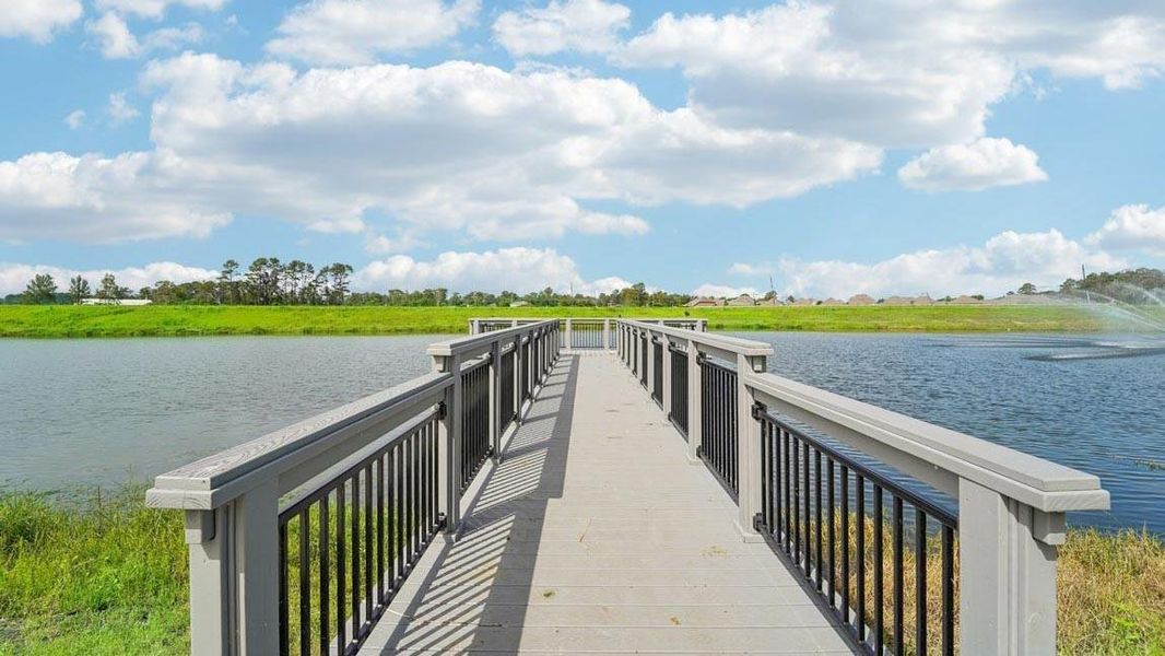Natural landscape and outdoor views near Newport Pointe in Crosby (Image 22). Natural landscape and outdoor views near Newport Pointe in Crosby (Image 22).
