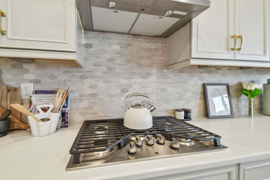 Close-up of interior finishes inside a home in Tamarack at Two Rivers, Zephyrhills (Image 18). Close-up of interior finishes inside a home in Tamarack at Two Rivers, Zephyrhills (Image 18).