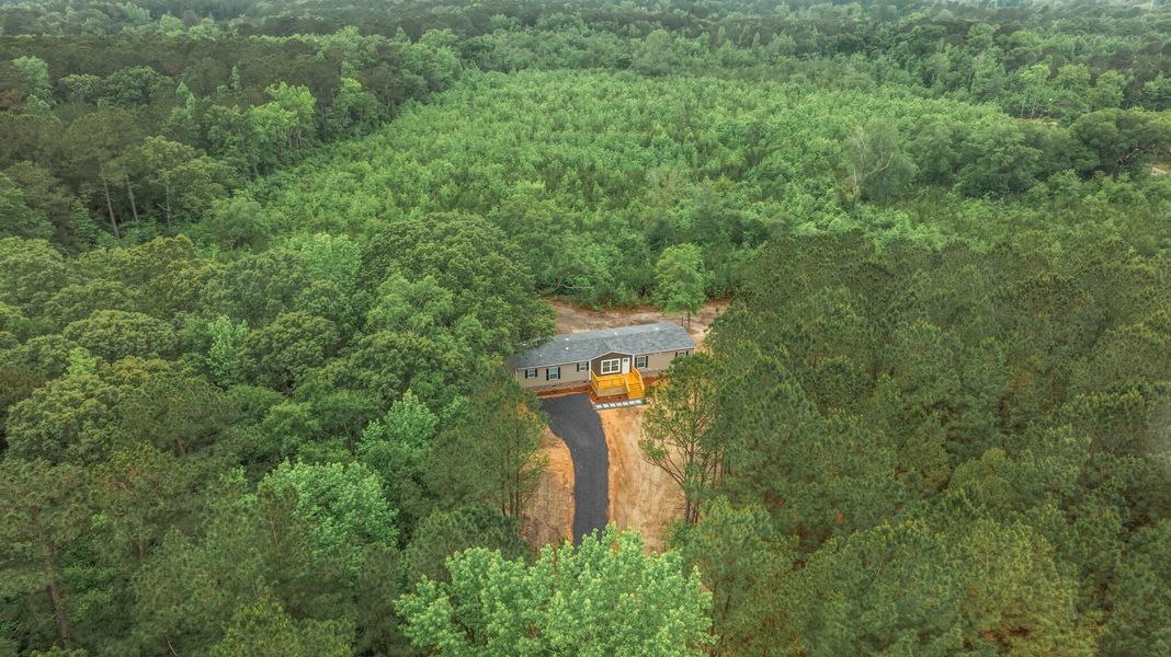 Natural landscape and outdoor views near  in Eutawville (Image 28).