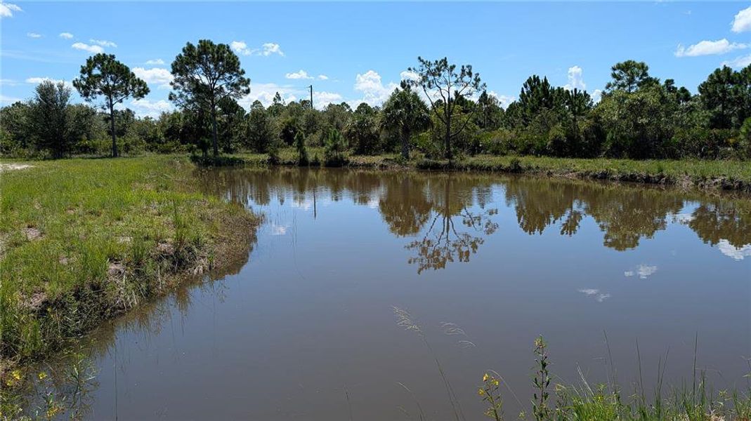 Natural landscape and outdoor views near  in Punta Gorda (Image 38).