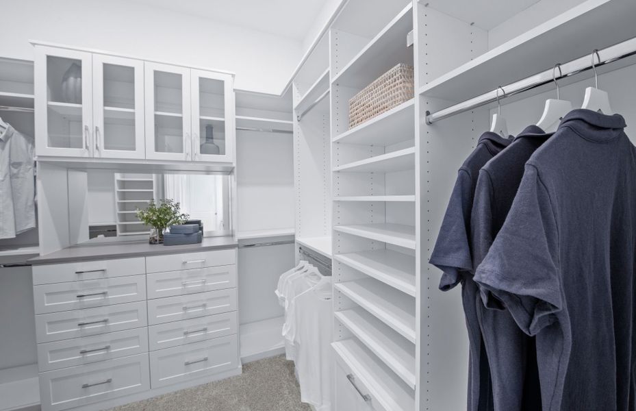 Expansive Owner's Closet