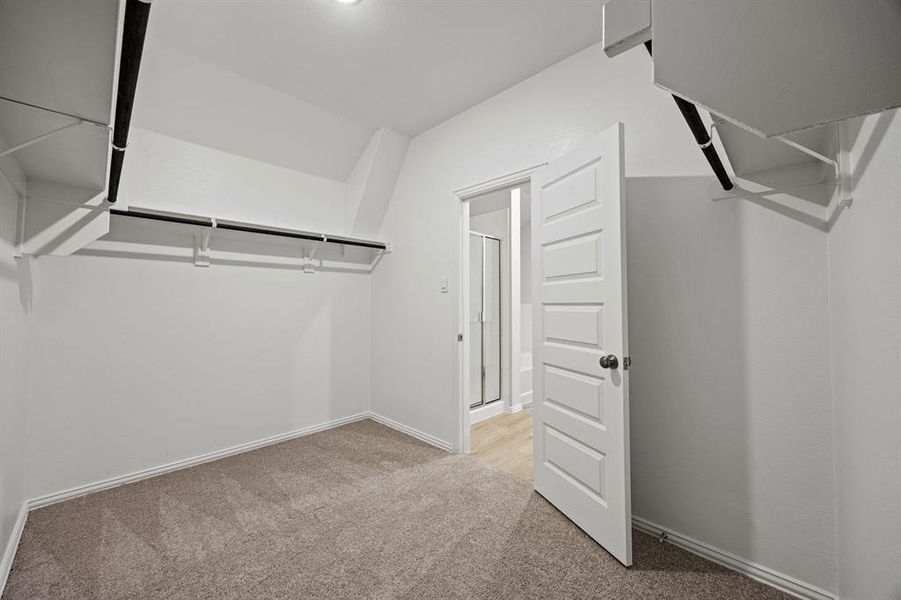 23-web-or-mls-509-hickory-rdg-dr