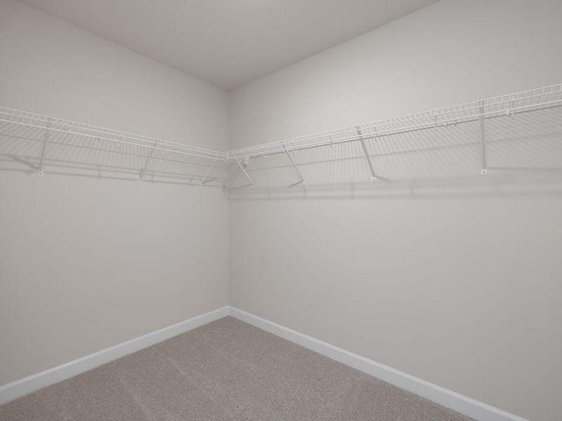 Spacious, unfurnished interior of a new home in Springvale, Willow Spring (Image 17).