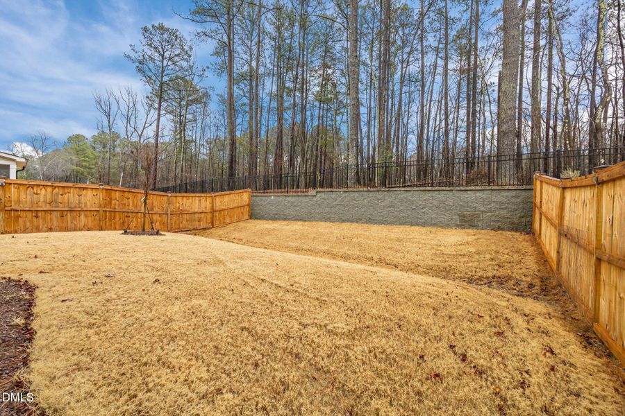 52-web-or-mls-IMG_8252