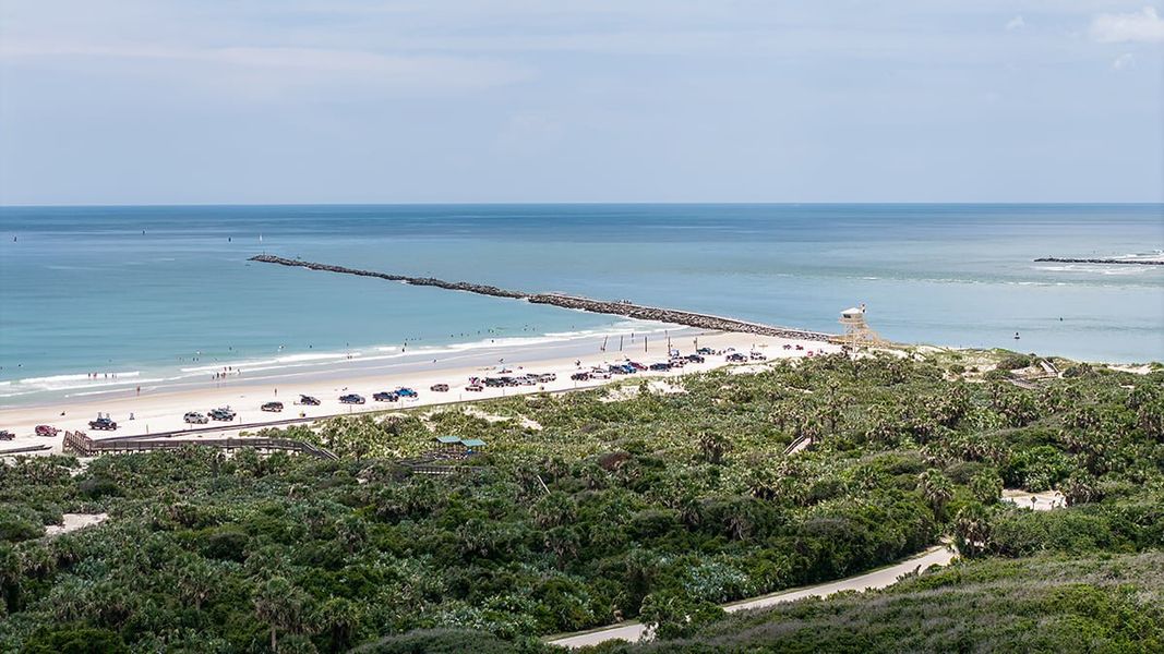 Natural landscape and outdoor views near Ardisia Park in New Smyrna Beach (Image 21).