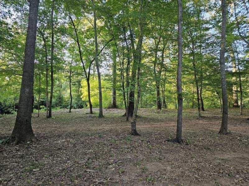 Natural landscape and outdoor views near  in Bowdon (Image 45).