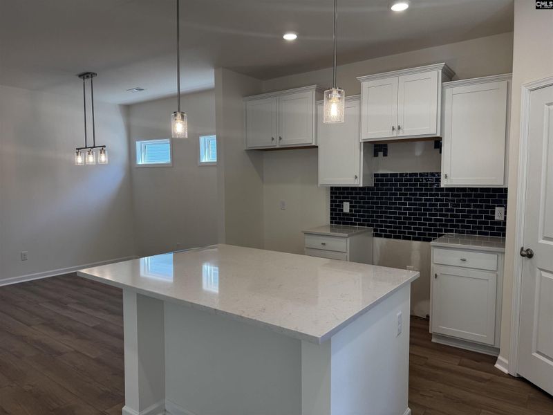 Furnished interior view inside a new home in Boykin Hills, Chapin (Image 5).