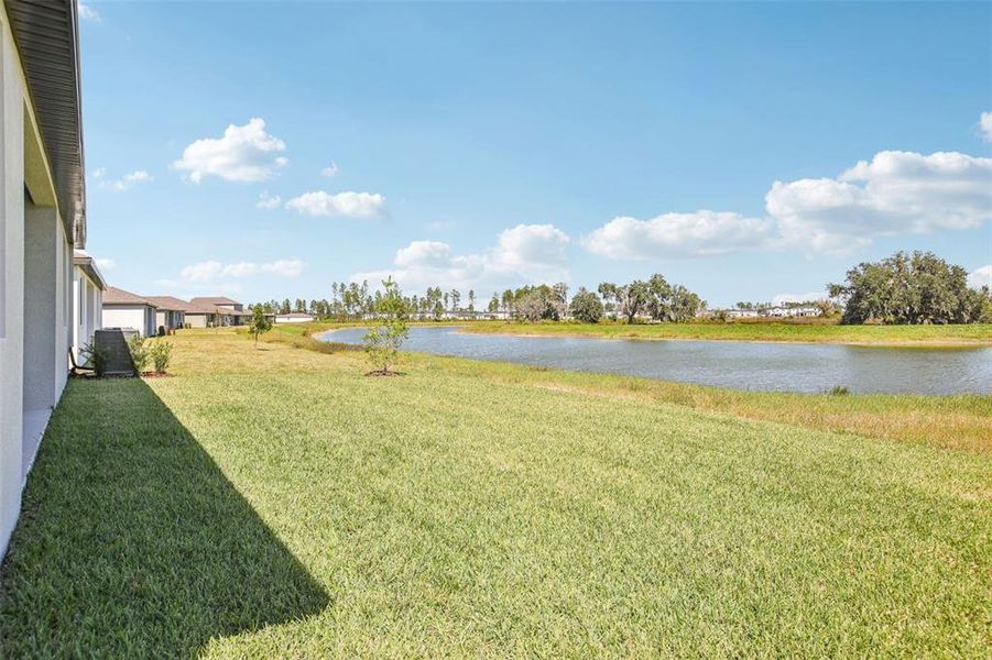 Exterior details and patio area of a home in Two Rivers - Signature Series, Zephyrhills (Image 26).