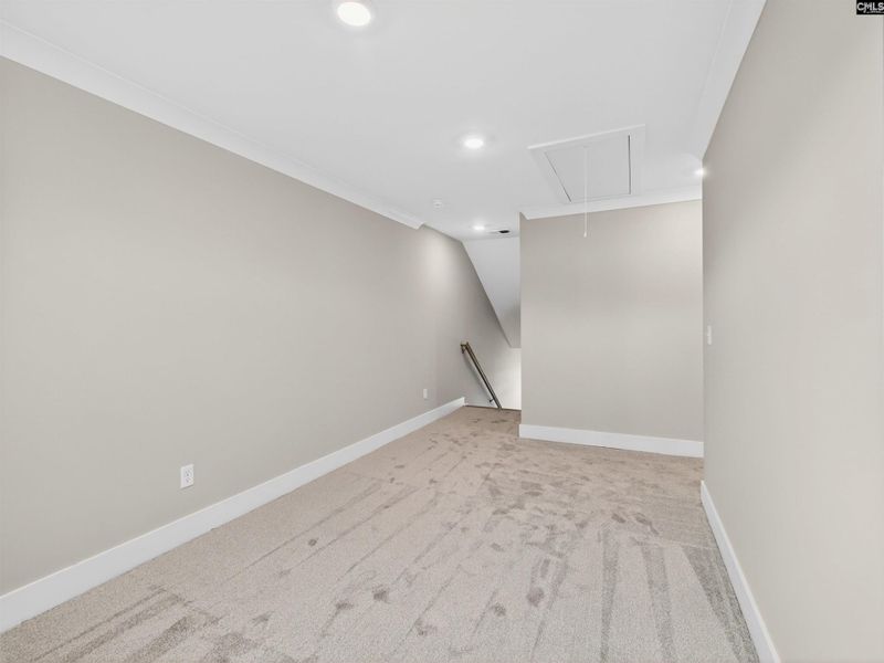 Spacious, unfurnished interior of a new home in Collins Cove, Chapin (Image 43).