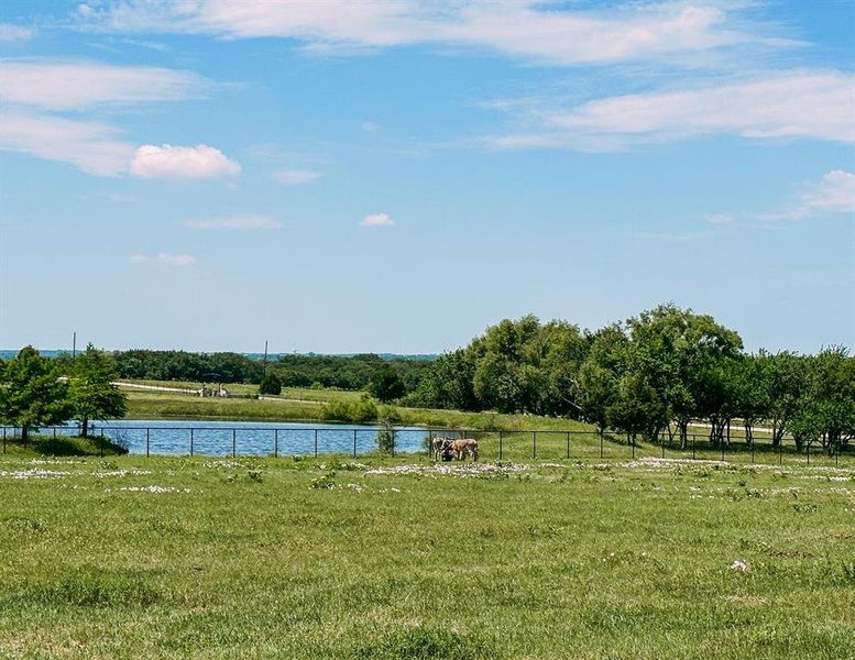 View of water feature with a rural view