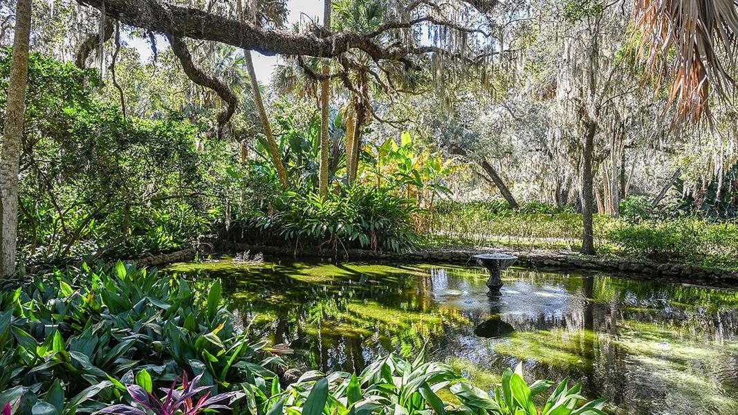 Natural landscape and outdoor views near Colbert Landings in Palm Coast (Image 96).