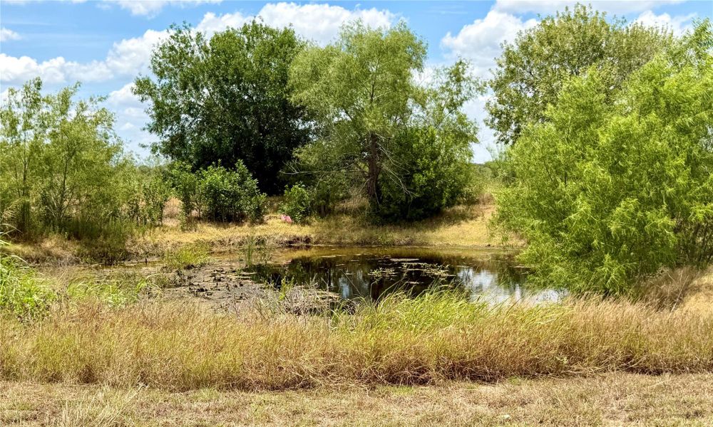 Natural wetland and pond provide a serene, private retreat amidst verdant surroundings.